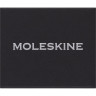 Шильд-символ MOLESKINE PINAQUARIUSGOLD водолей